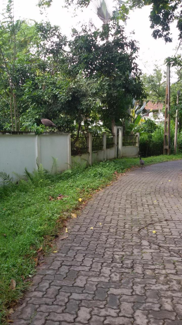 Vero Homestay Galle- Your Home Away From Home! Kültér fotó